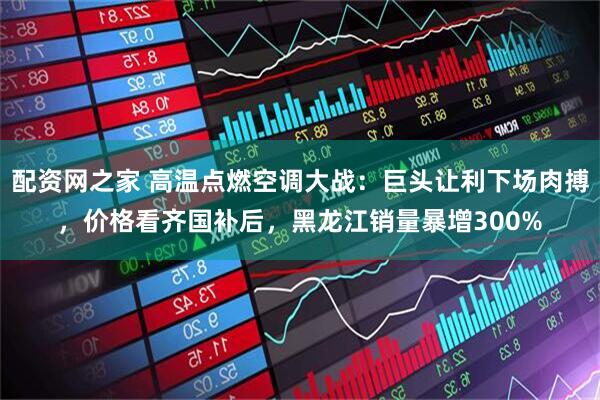 配资网之家 高温点燃空调大战：巨头让利下场肉搏，价格看齐国补后，黑龙江销量暴增300%