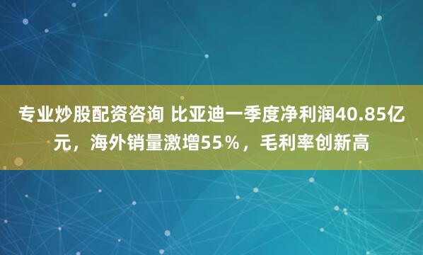 专业炒股配资咨询 比亚迪一季度净利润40.85亿元，海外销量激增55％，毛利率创新高